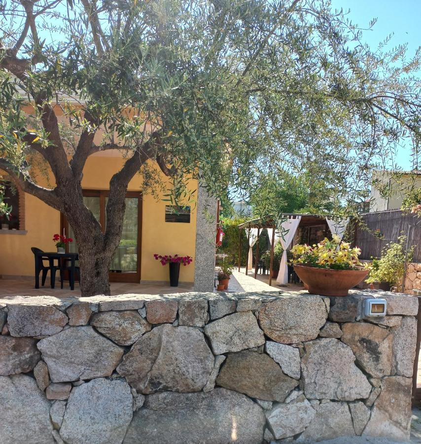 Affittacamere B&B Il Fiore 포사타 외부 사진
